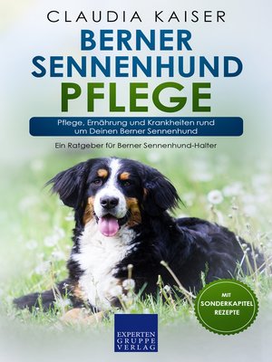 cover image of Berner Sennenhund Pflege
